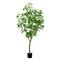 7ft. Potted Green Artificial Greco Citrus Tree with Real Touch Leaves